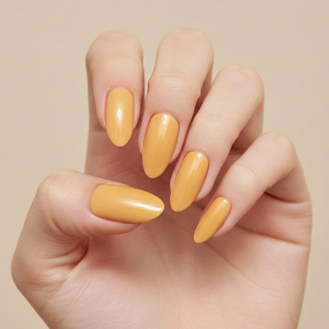 Light Orange 22 Simple Set
